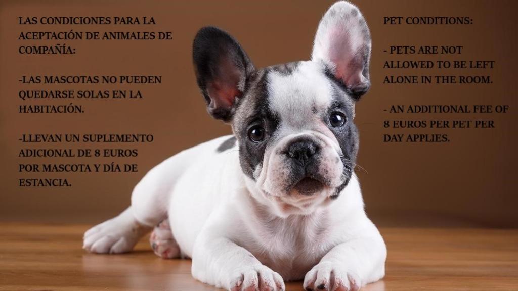 Las Abadias Mérida Buitenkant foto